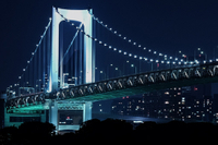 LED Flood Light
